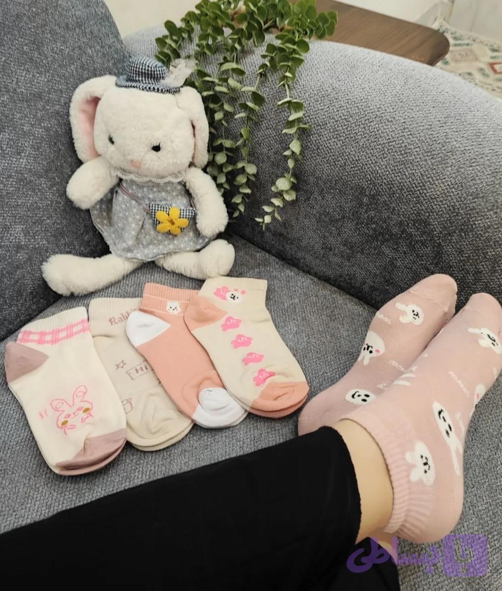 مچی طرح خرگوش🐰