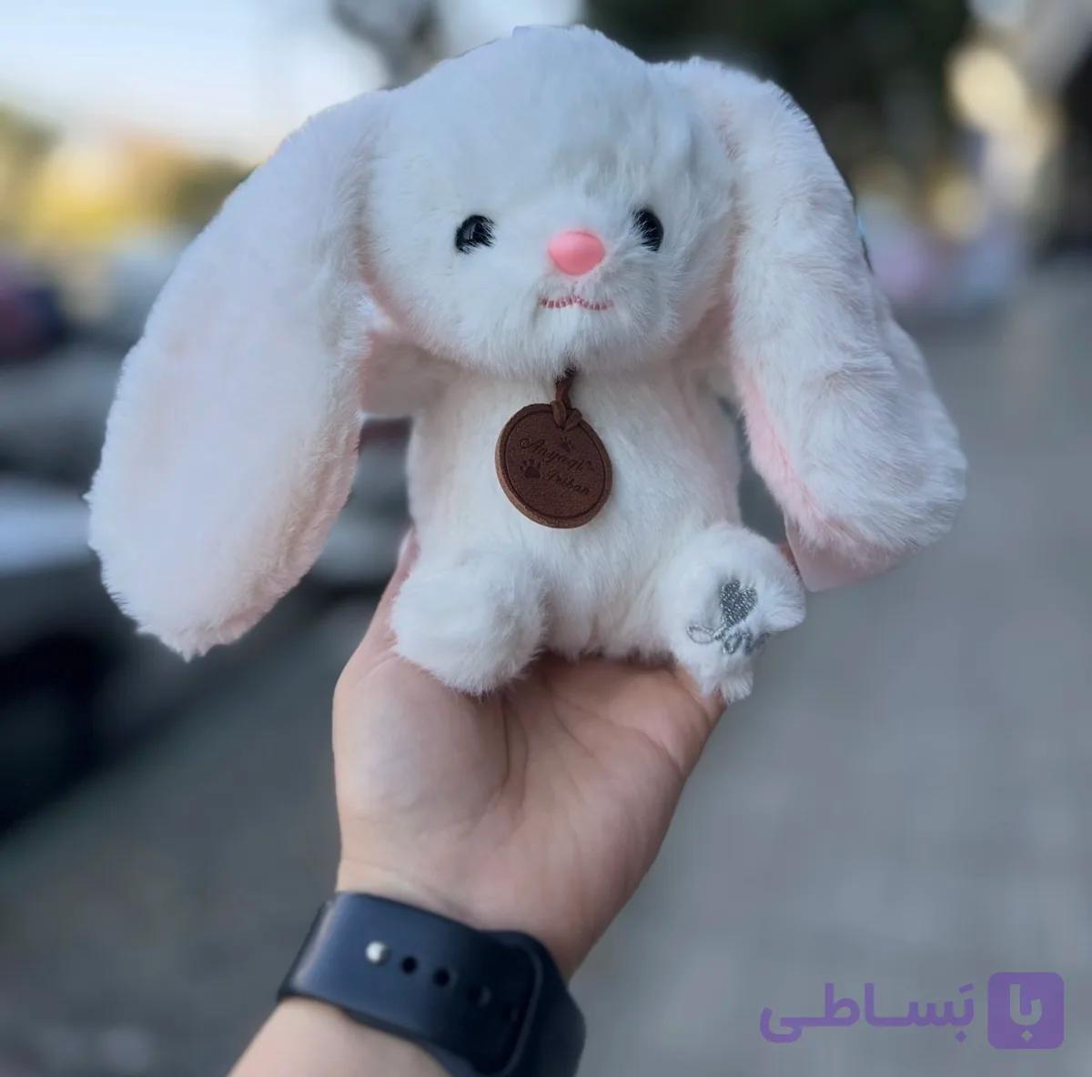 عروسک خرگوش پولیشی Anyagi Peibaru® 🐰🎀 — تصویر 1