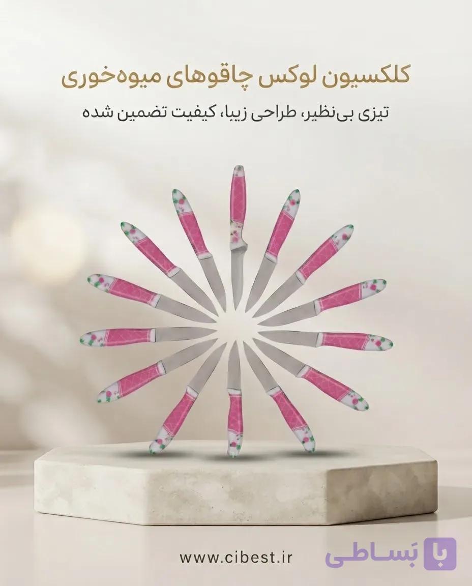 چاقوی میوه‌خوری طرح‌دار مارک یونیک (Unique) 12 عددی — تصویر 1