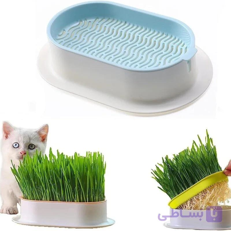 باکس هیدروپونیک کاشت علف گربه