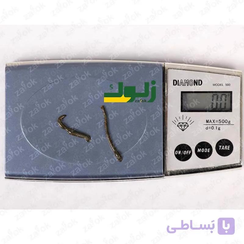 پکیج زالوی سوزنی/ کبریتی – 2 الی 3 سانت — تصویر 1