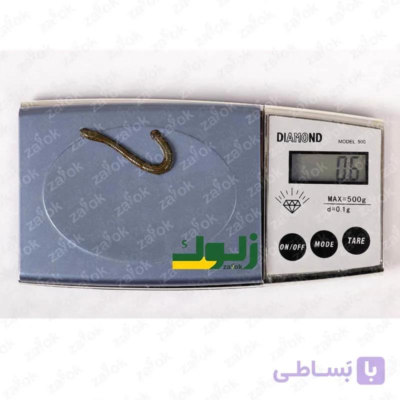 پکیج زالو آرایشی – 3 الی 5 سانت — تصویر 1