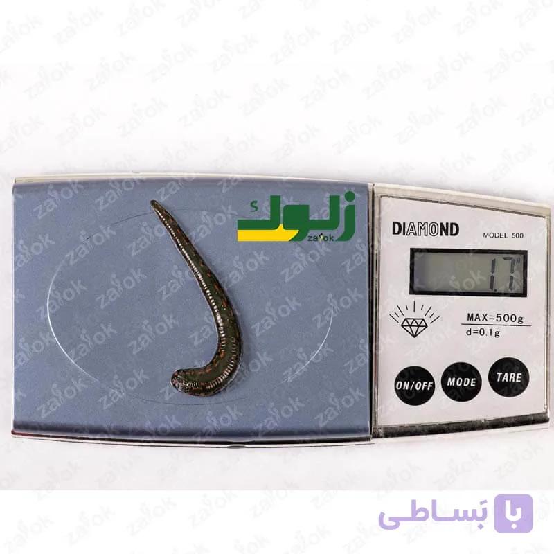 پکیج زالوی مولد پرورشی – 10 الی 15 سانت — تصویر 1