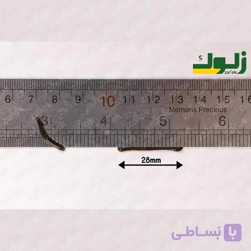 پکیج زالوی لارو (بچه زالو) – 0.5 الی 1.5 سانت — تصویر 1