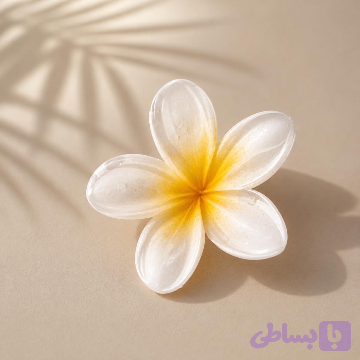 کلیپس گل سفید 3ونیم سانتی متری