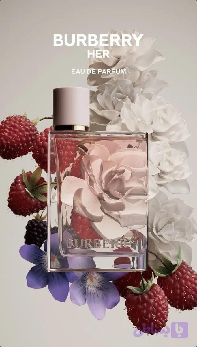 بربری هر باربری هر Burberry her