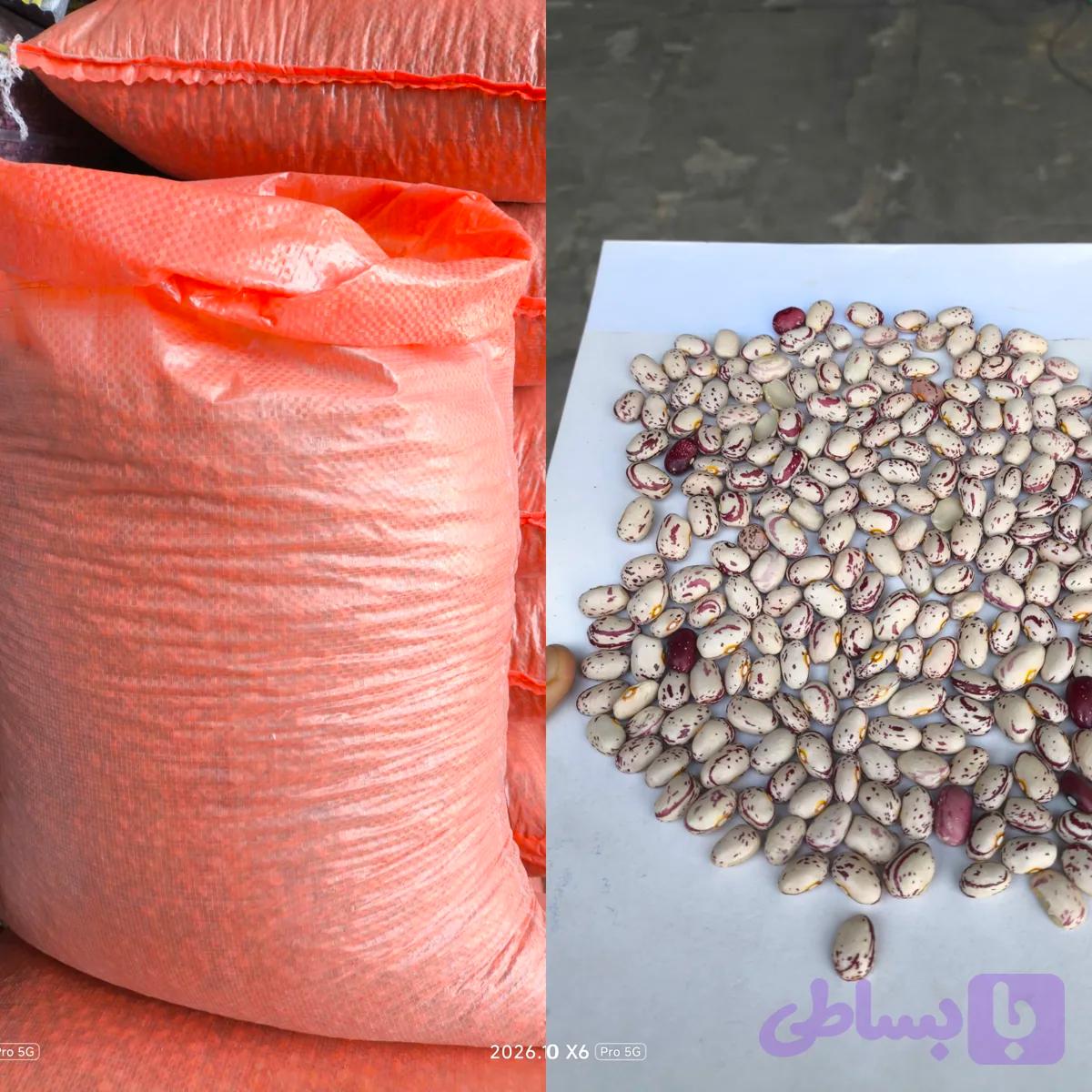 لوبیا چیتی فی :320