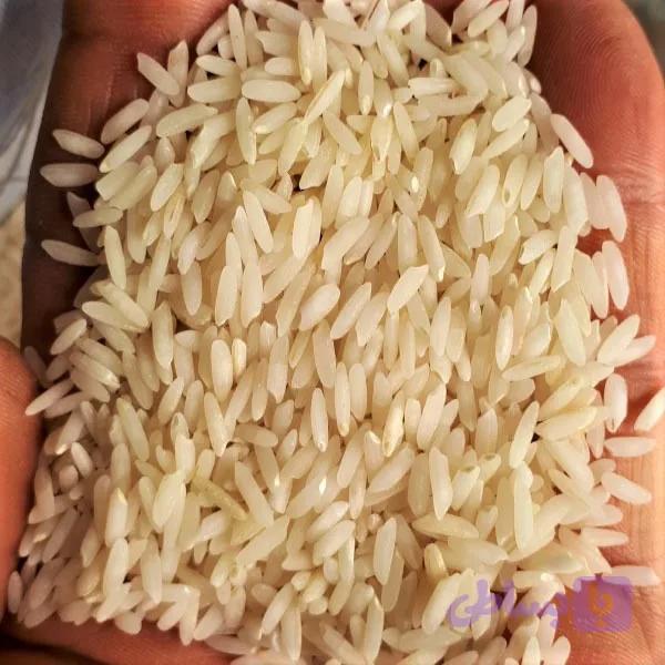 برنج طارم هاشمی کشت دوم 5کیلویی — تصویر 1