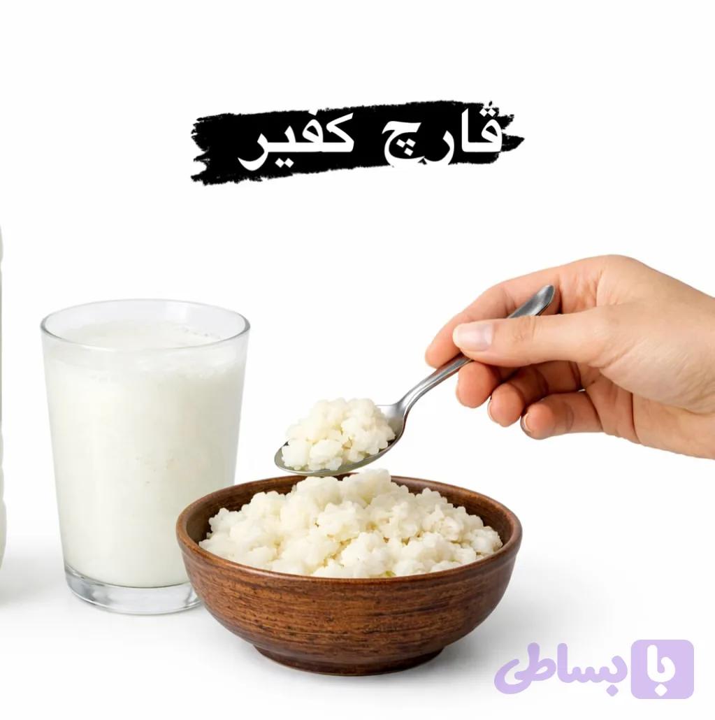 قارچ کفیر زنده