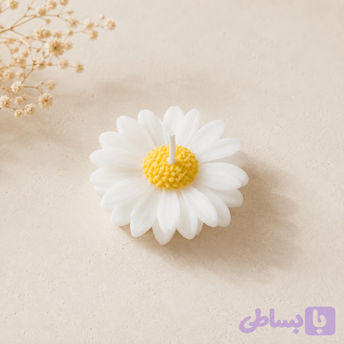شمع بابونه ویژه عمده