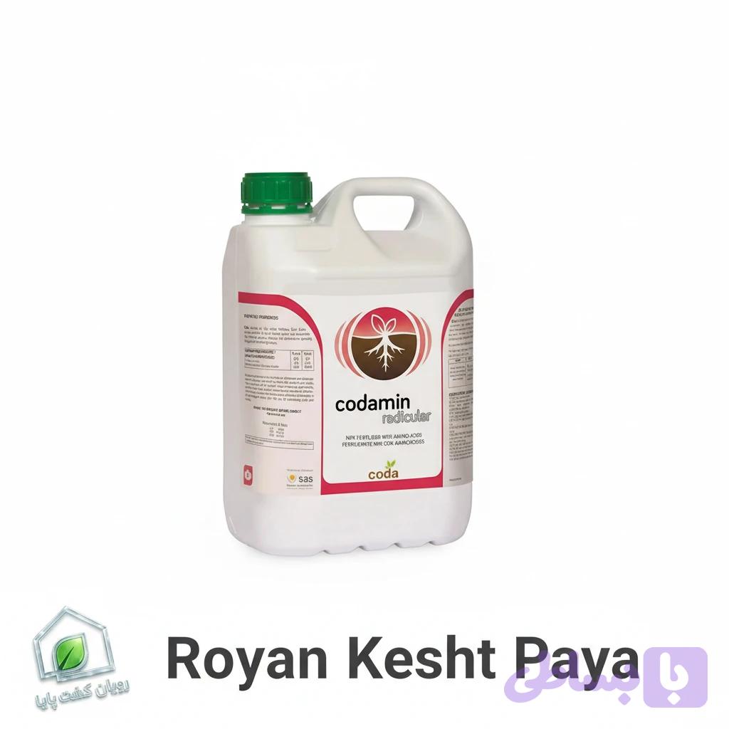 ریشه زای کدامین رادیکولار
