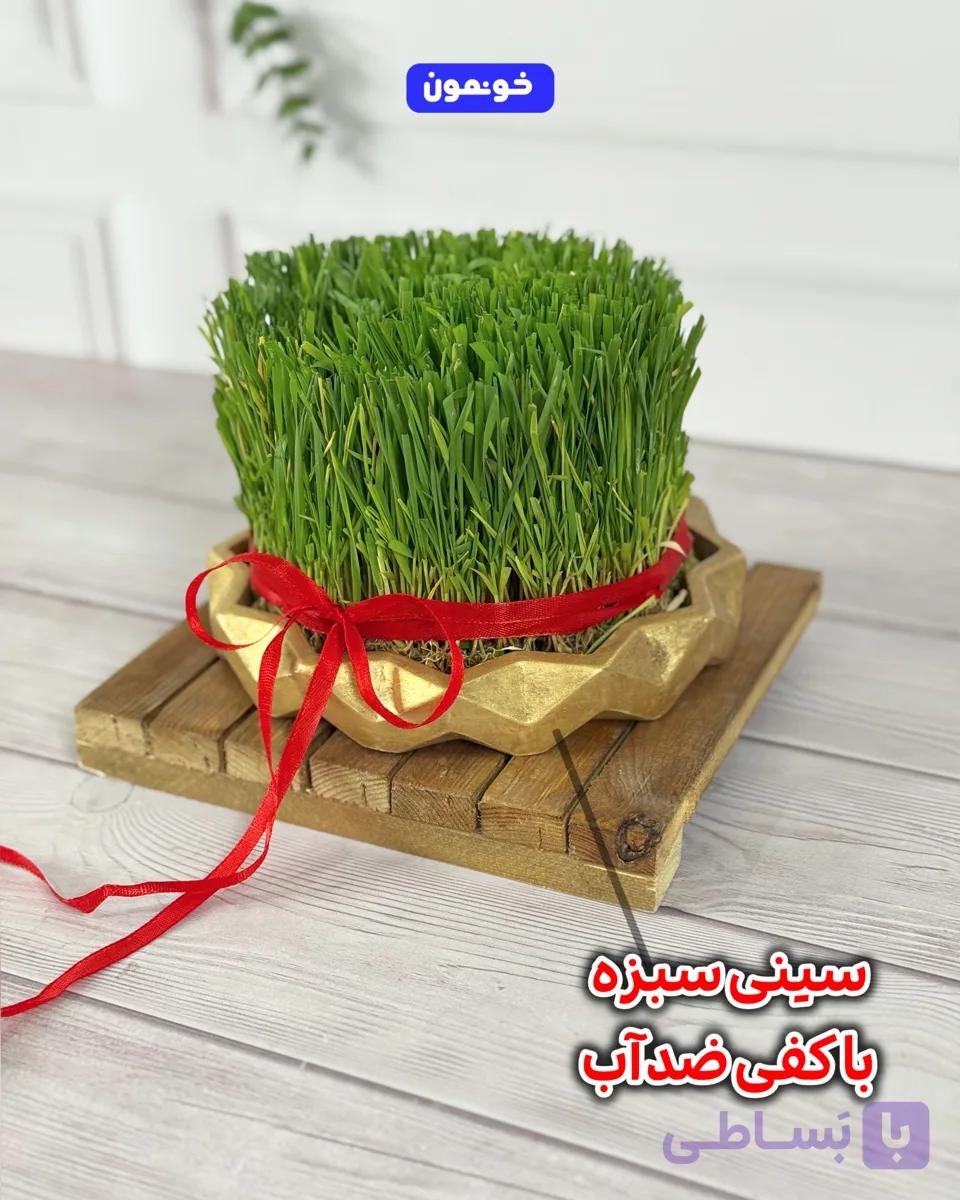 سینی سبزه با کفه ضد آب