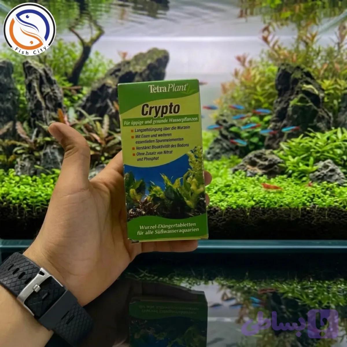 قرص کود ریشه TetraPlant Crypto از برند معتبر تترا (Tetra)