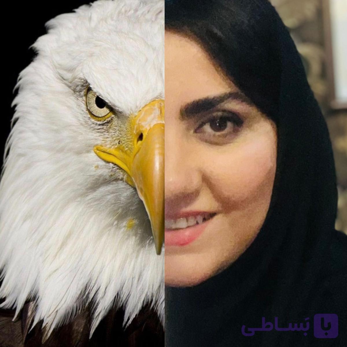 دوره جامع فرکانسه جهت بهبود فردی با تحول ذهن و احساسات