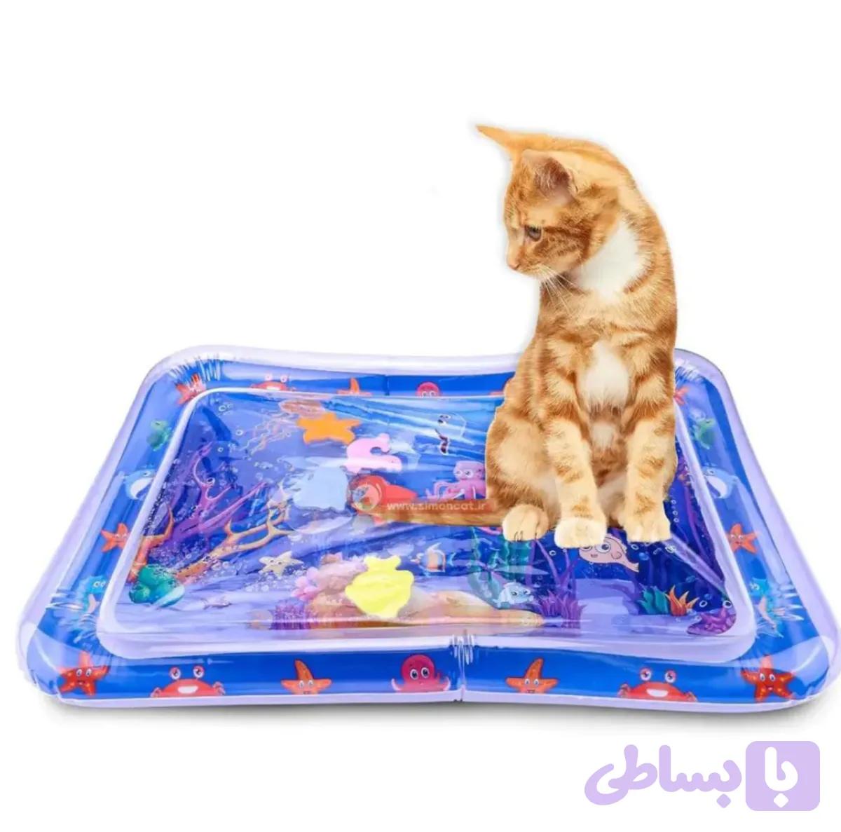 استخر بازی گربه