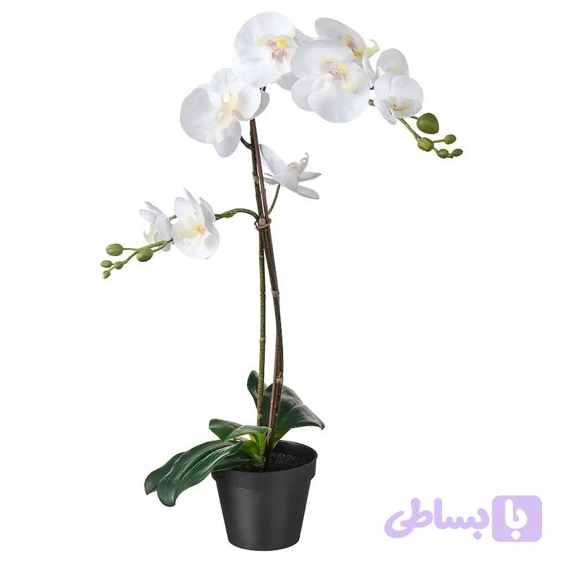گلدان به همراه گل مصنوعی ایکیا مدل ارکیده FEJKA کد 859 — تصویر 1