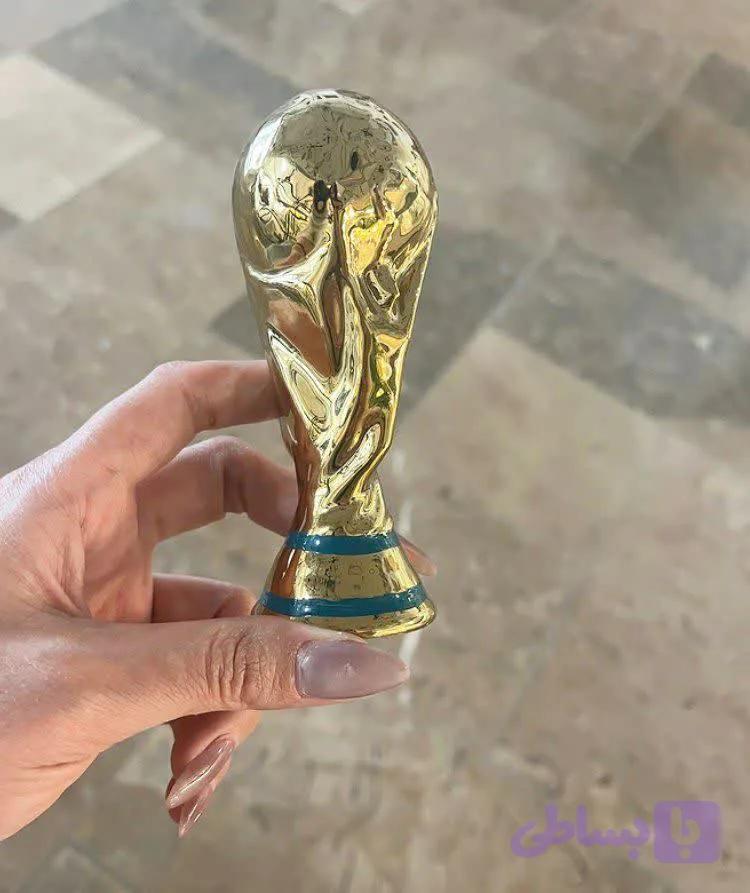 جام قهرمانی ریز