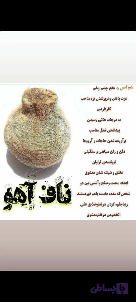 ناف اهو مشک