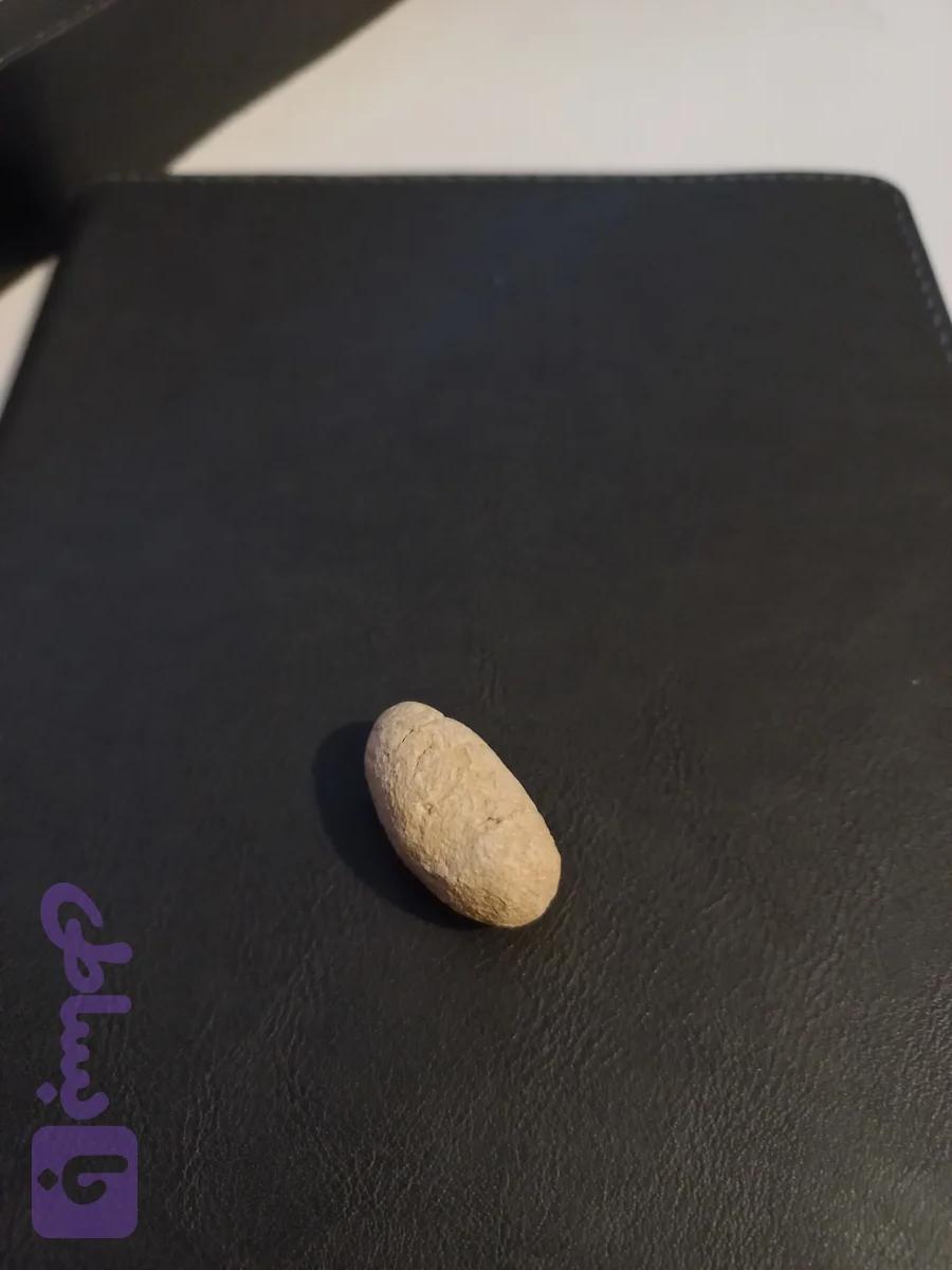 خر مهره اصل مغولی