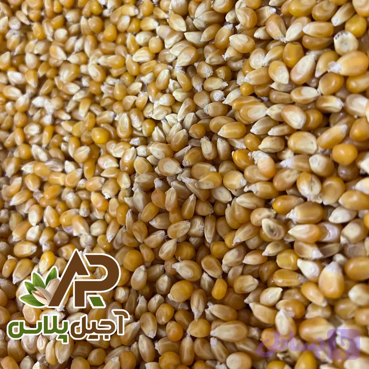 ذرت پاپ کورن خام