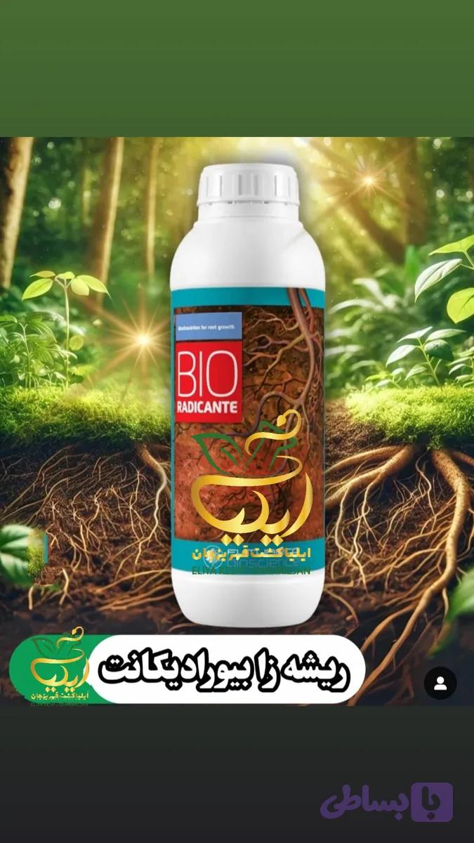 کود ریشه زای بیورادیکانت