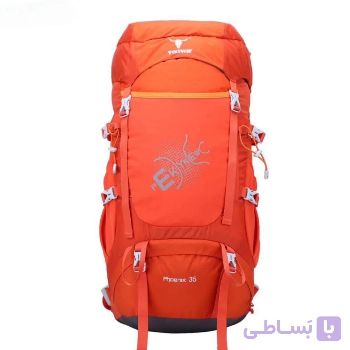 کوله پشتی پکی نیو فونیکس 35