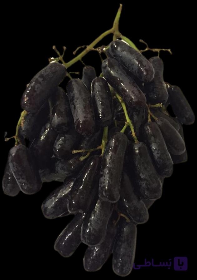 نهال انگور بلک ویلیام