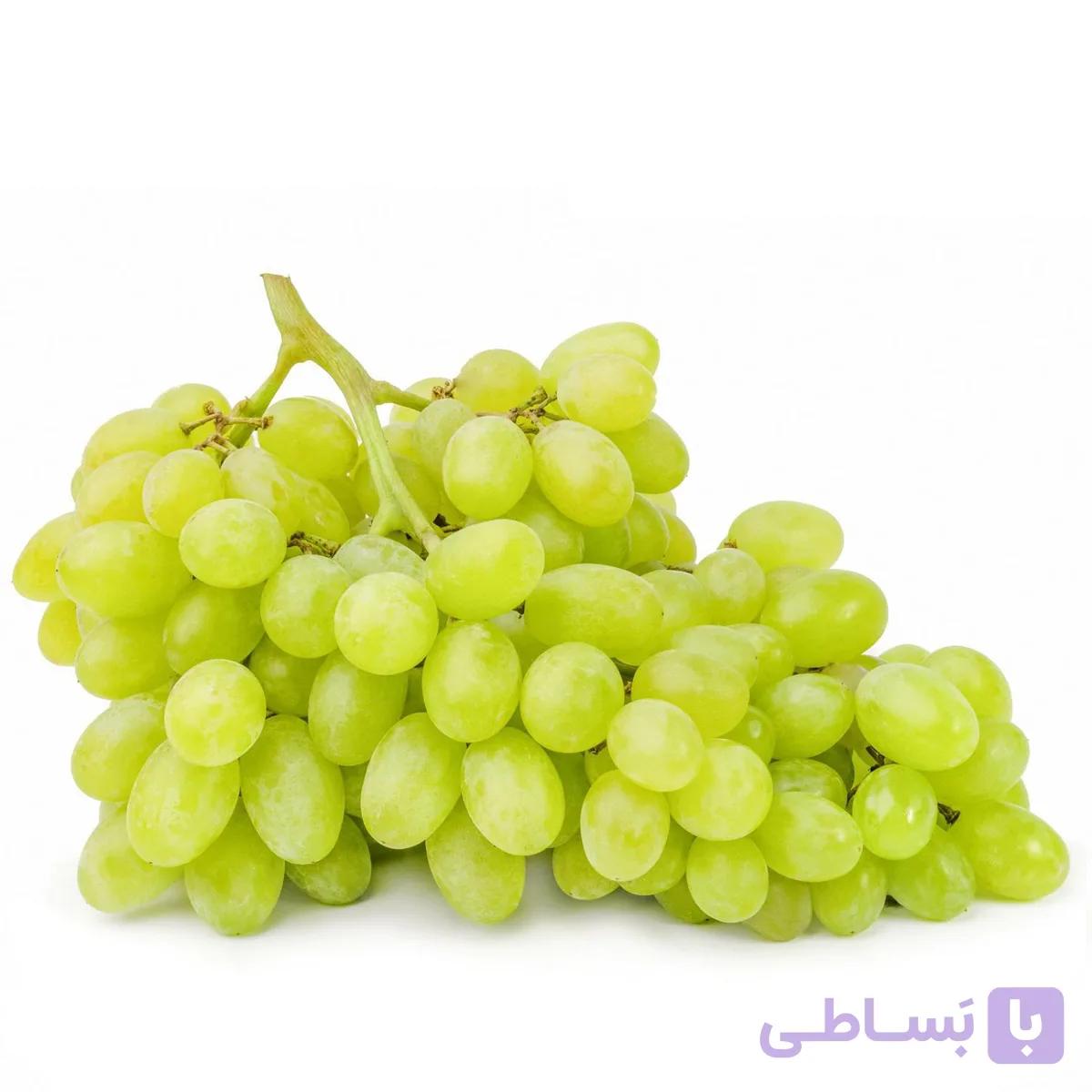 نهال انگور عسکری( سبز بی هسته) یک عددی
