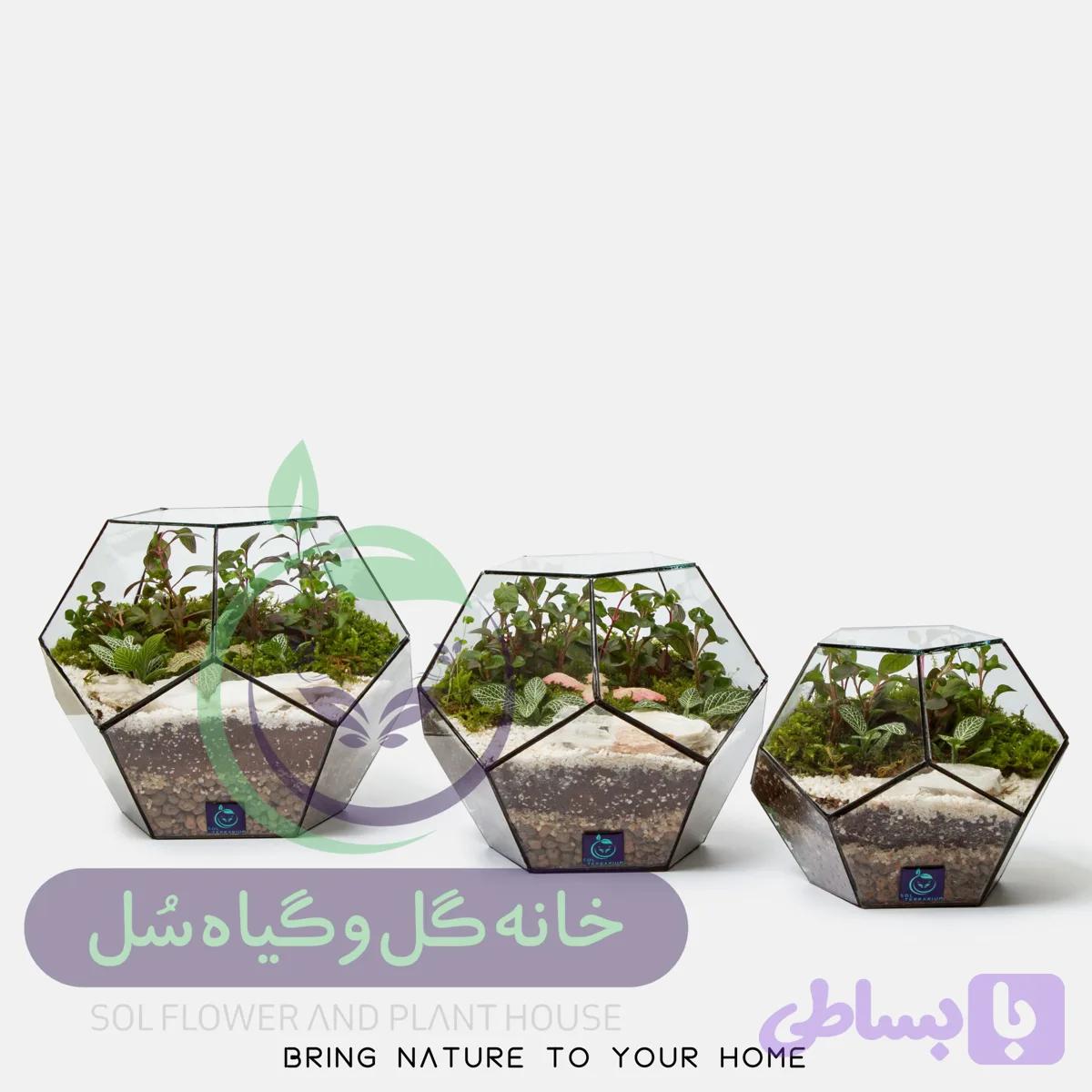 تراریوم مدل توپک سل تراریوم — تصویر 1
