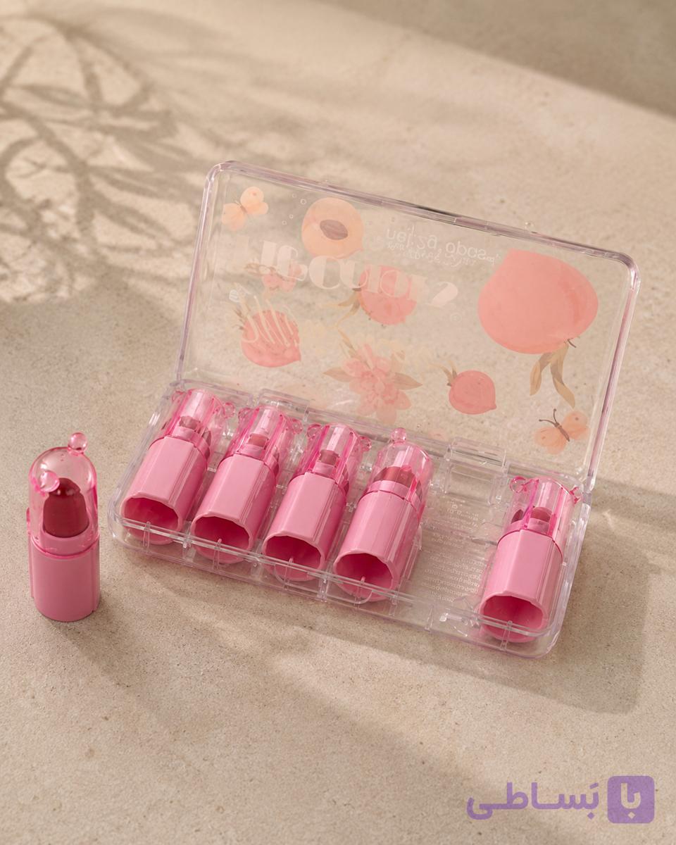 پالت رژگونه و رژلب ۶ رنگ | Blush & Lip Palette