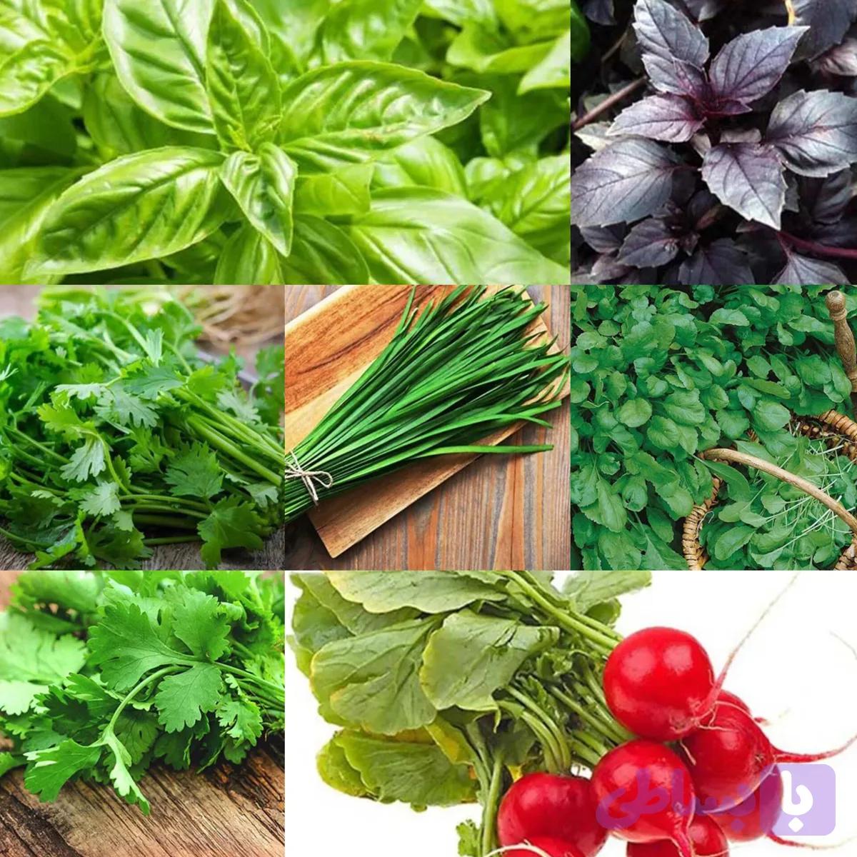 پک سبزی خوراکی ۷ عددی