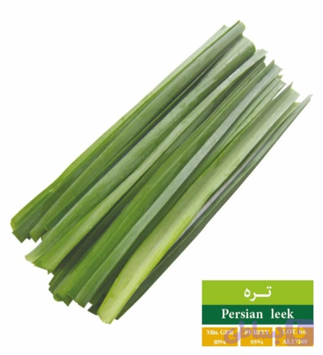 بذر تره رویان