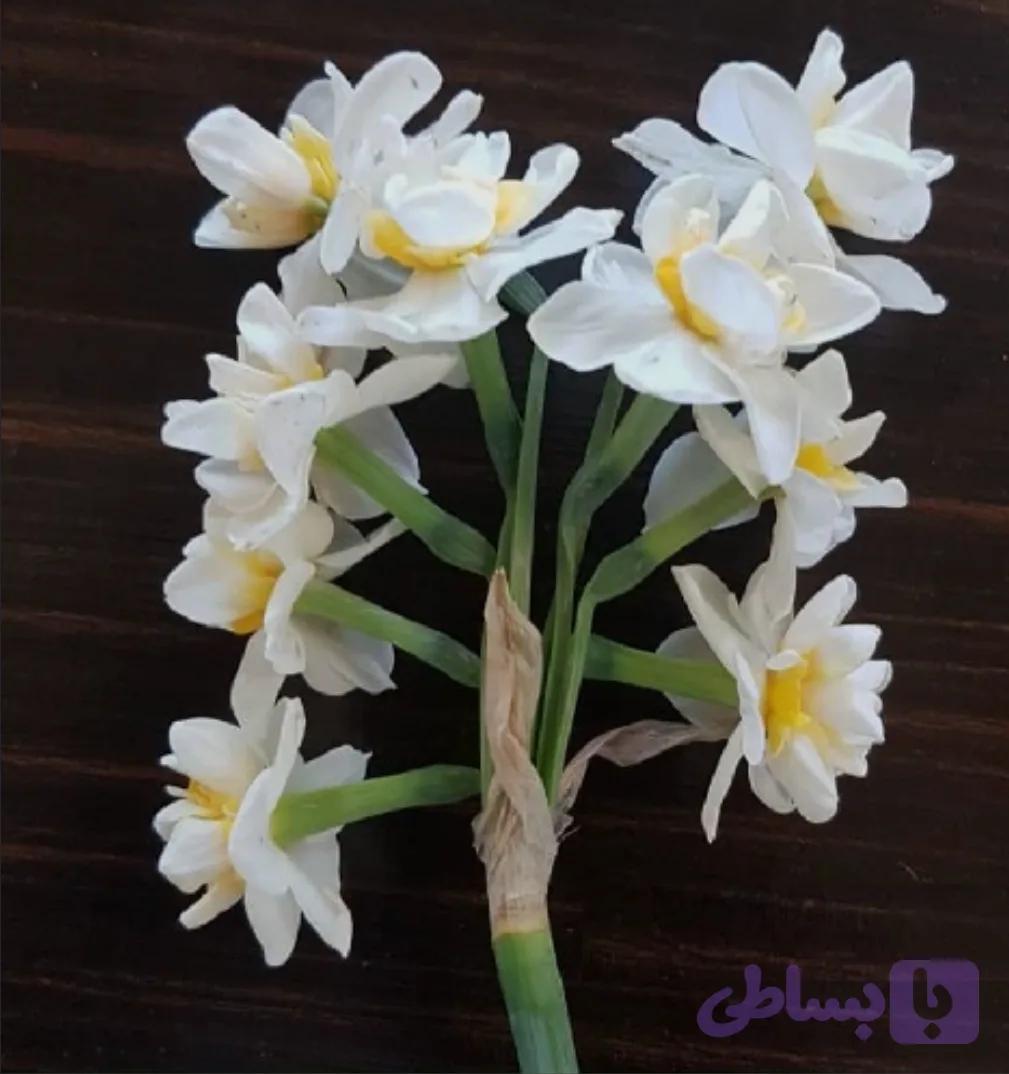 پیاز نرگس شصت پر( ۲ کیلویی )