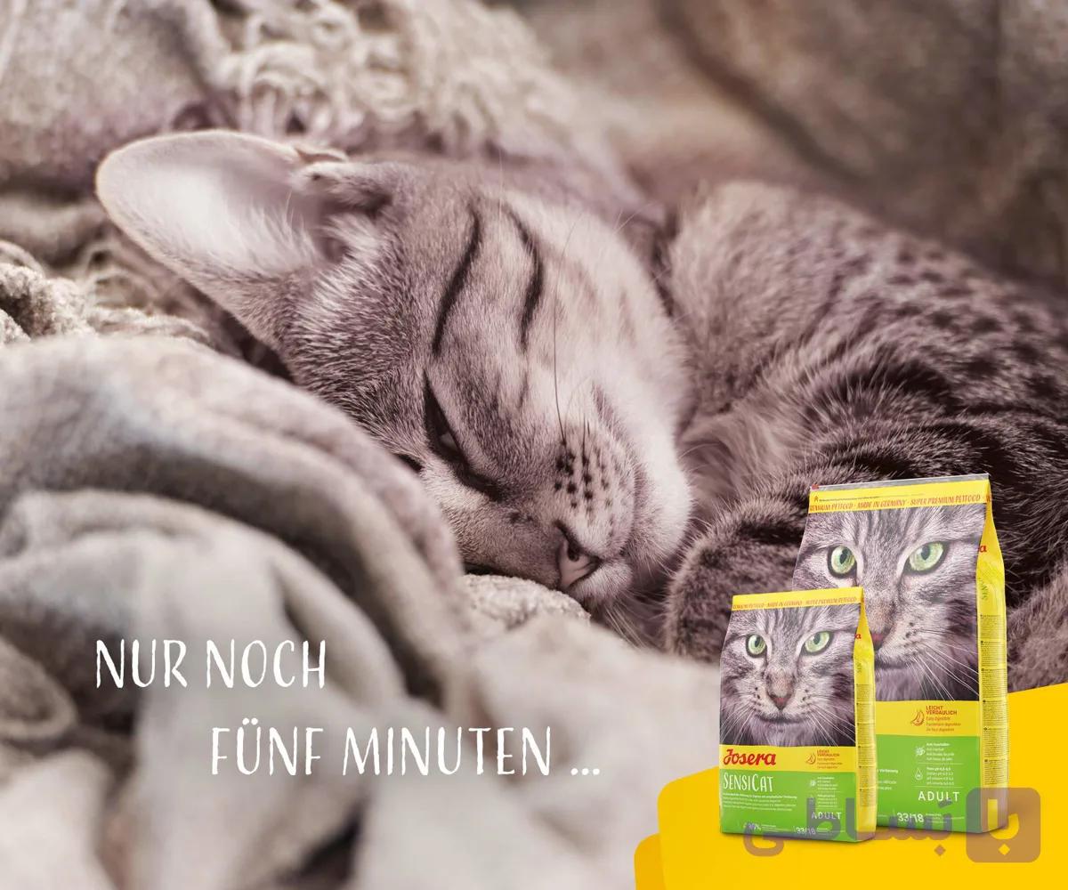 Josera SensiCat | غذای خشک سنسی کت جوسرا - اورجینال + با ضمانت اصالت