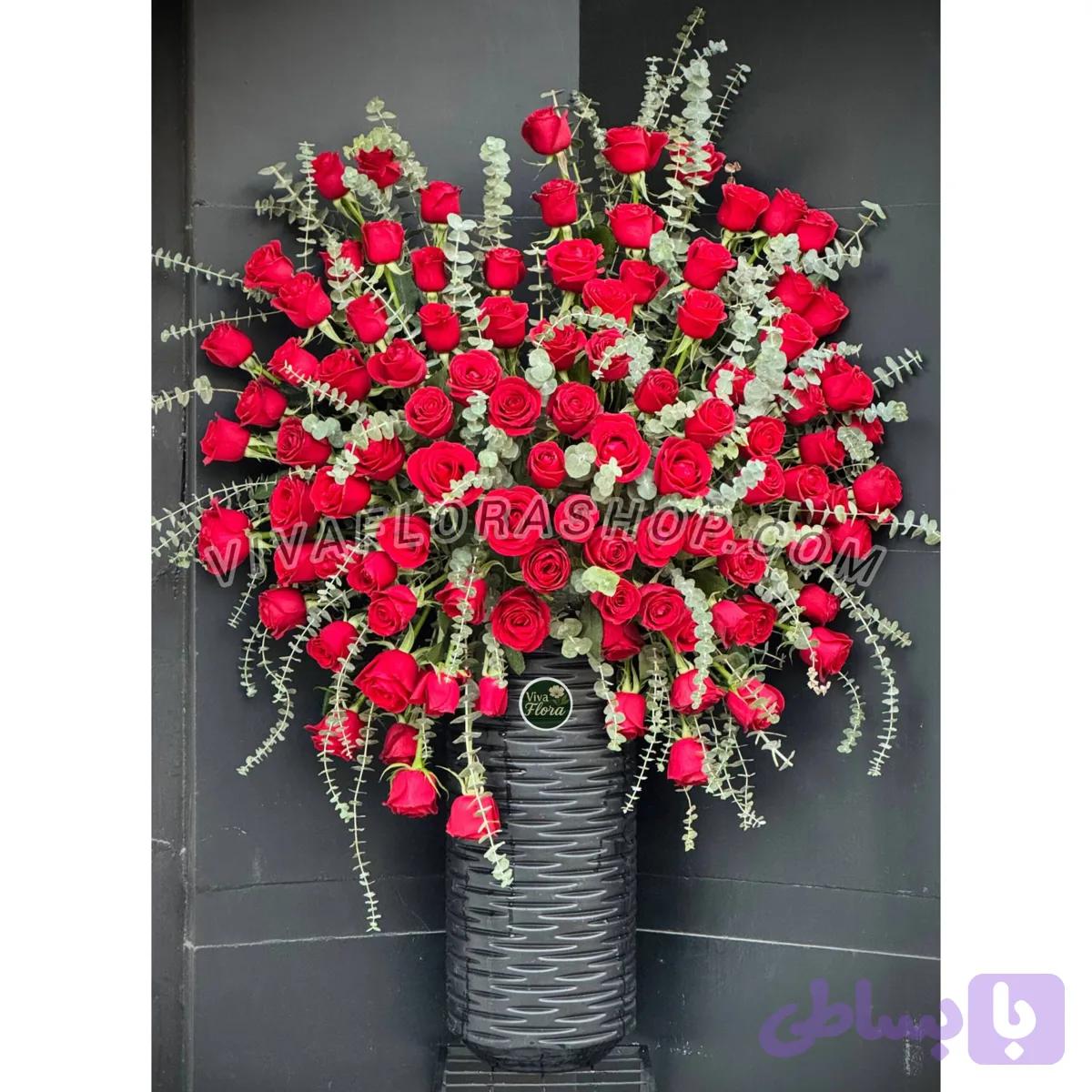 جام گل شعله ی سرخ