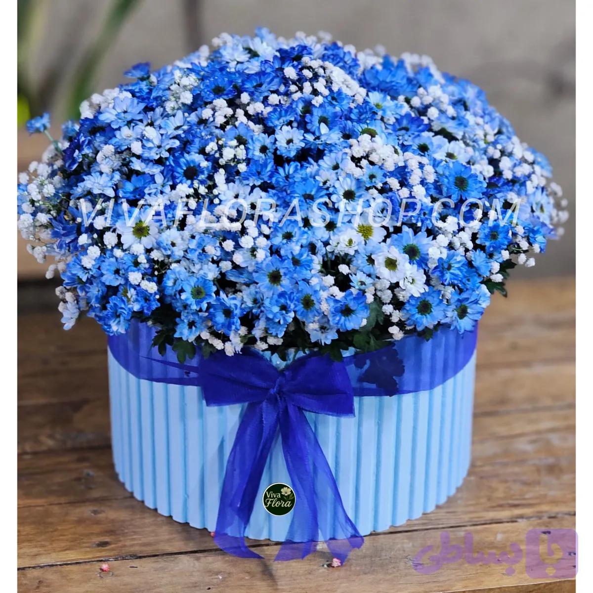 باکس گل داوودی مه نواز