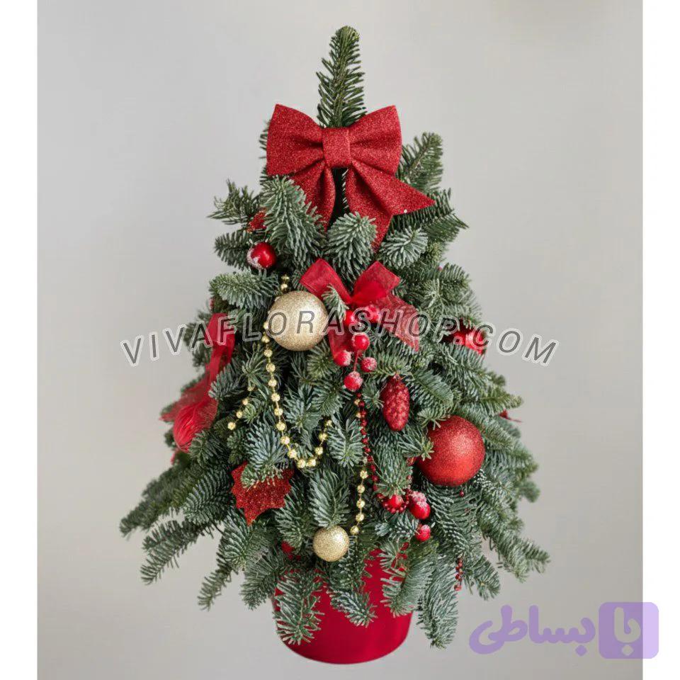 درخت کریسمس رزا