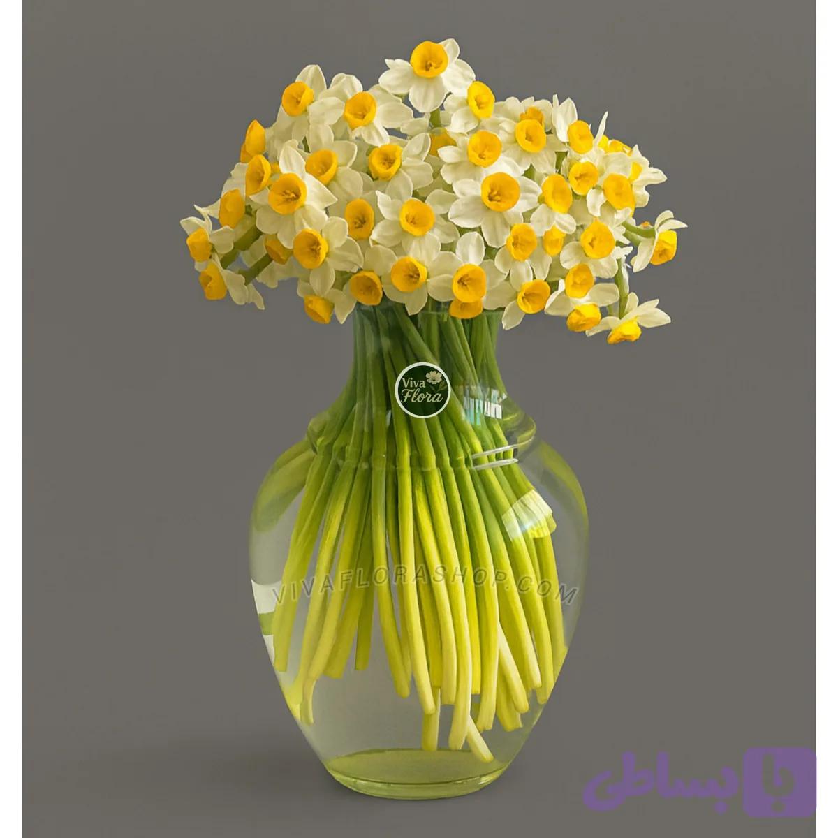 جار گل نرگس نور