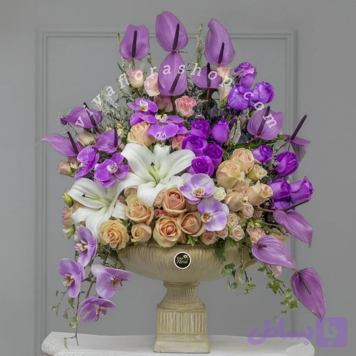 جام گل شکوفه های سلطنتی