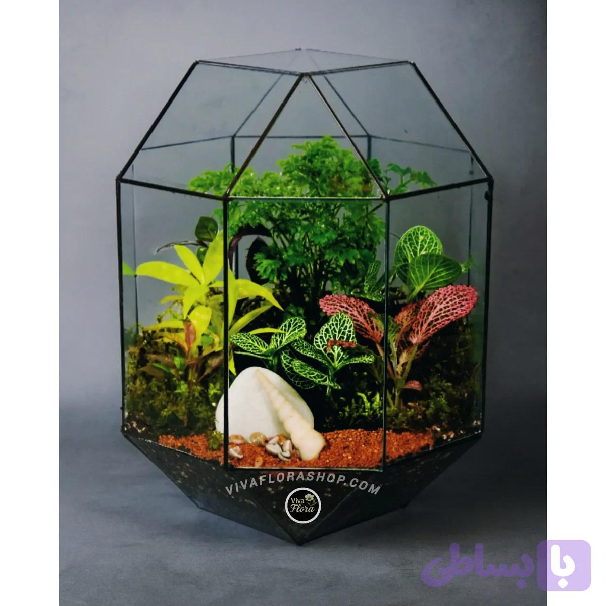 تراریوم راز شیشه ای
