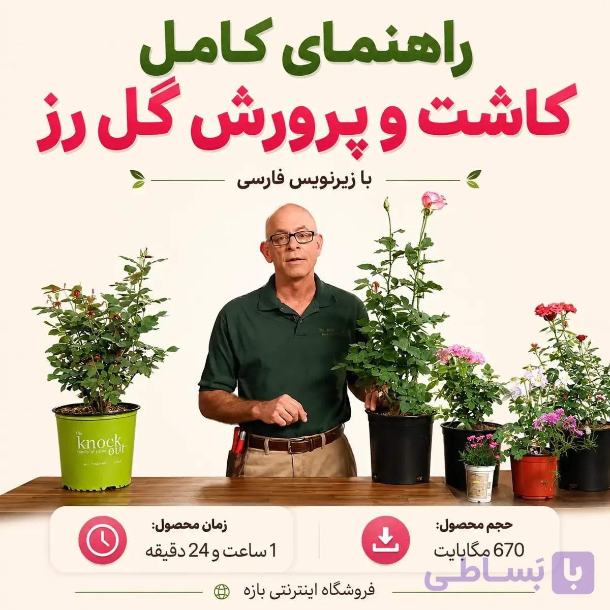 راهنمای کامل کاشت و پرورش گل رز