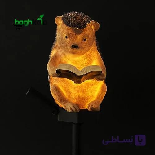 چراغ باغی خورشیدی جوجه‌تیغی — تصویر 1