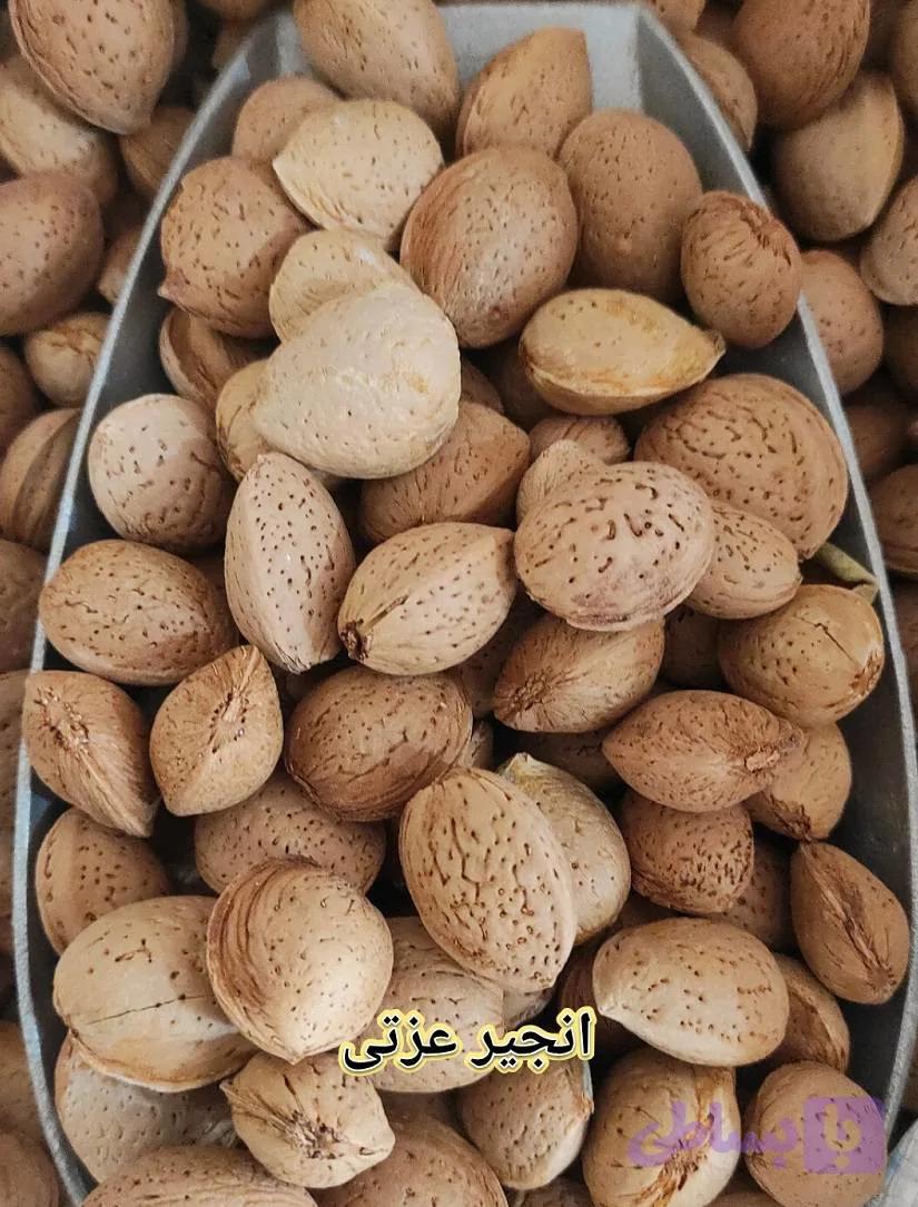 بادام پوست سنگی متوسط