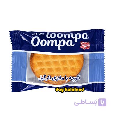 کلوچه 50 گرمی نادری با مغز نارگیل