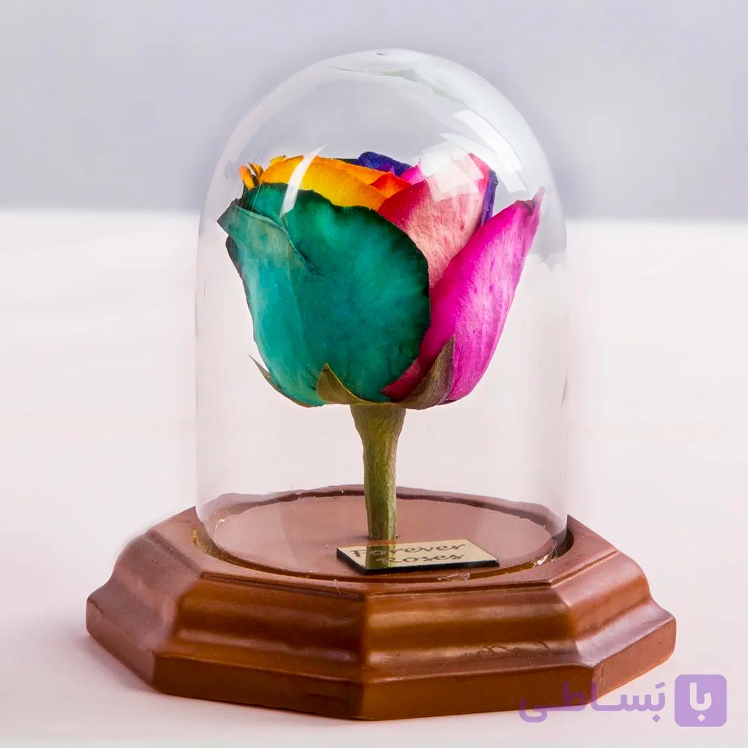 باکس شیشه ای گل رز جاودان هفت رنگ کد 2460|باختر