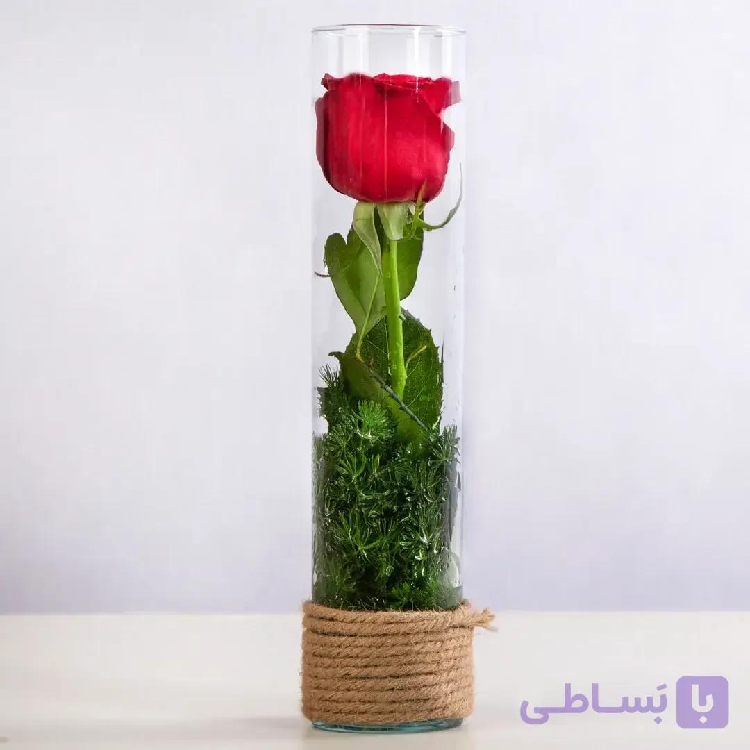 خرید باکس شیشه ای گل رز هلندی قرمز کد 1470|گل هدیه|باختر