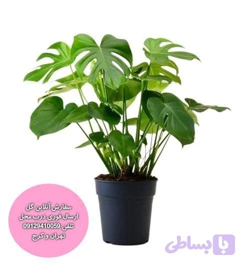 سبد گل ترحیم کد 3005
