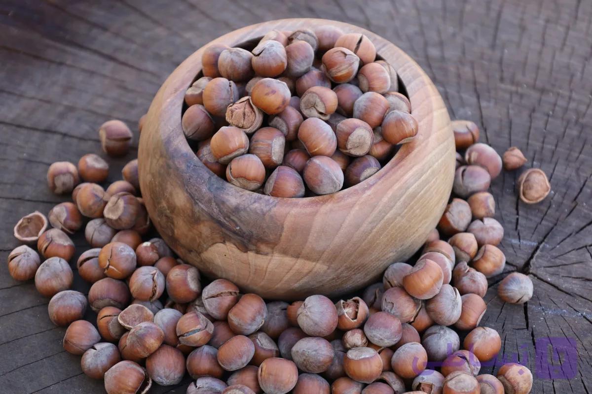 فندق محلی خام