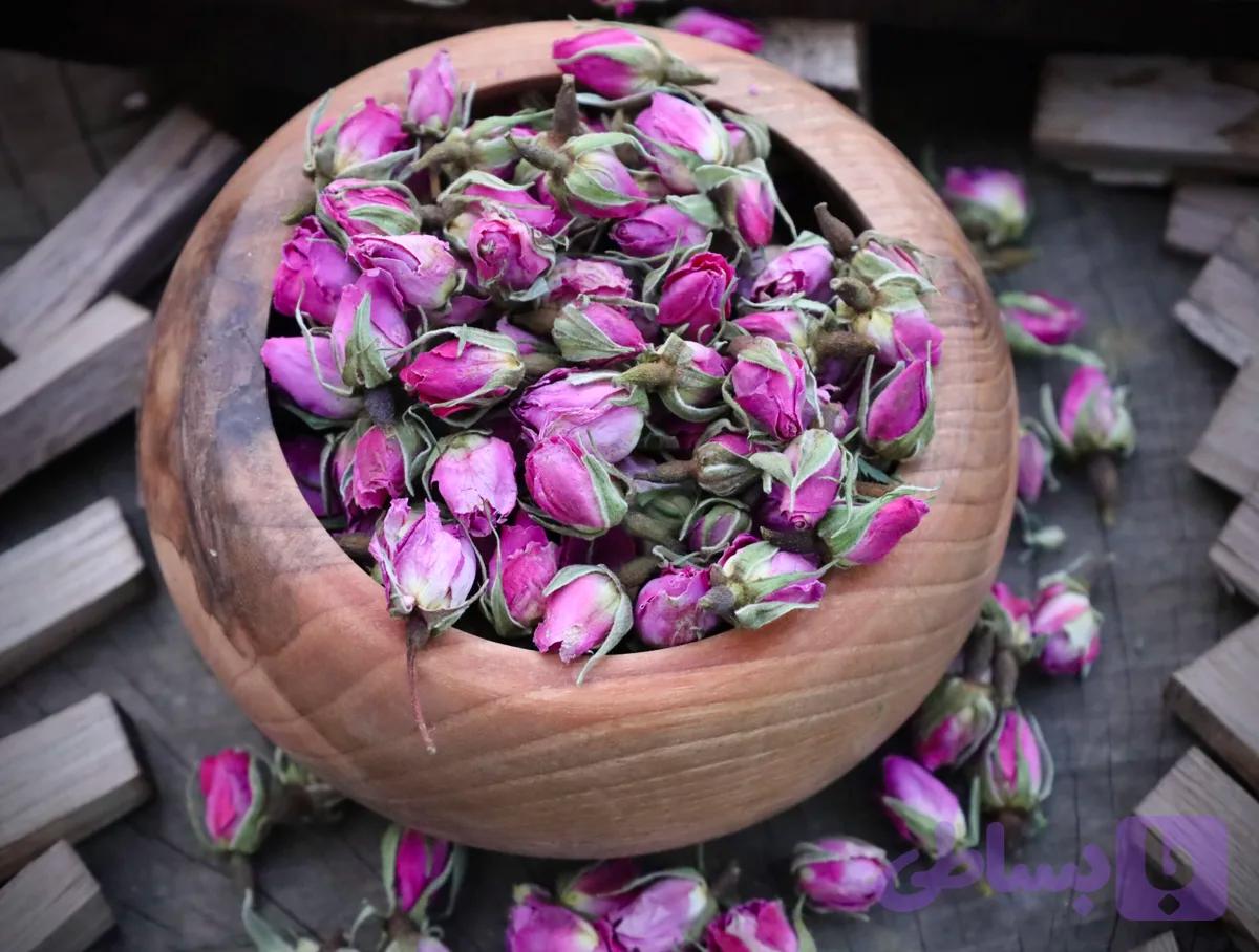 غنچه گل محمدی خشک