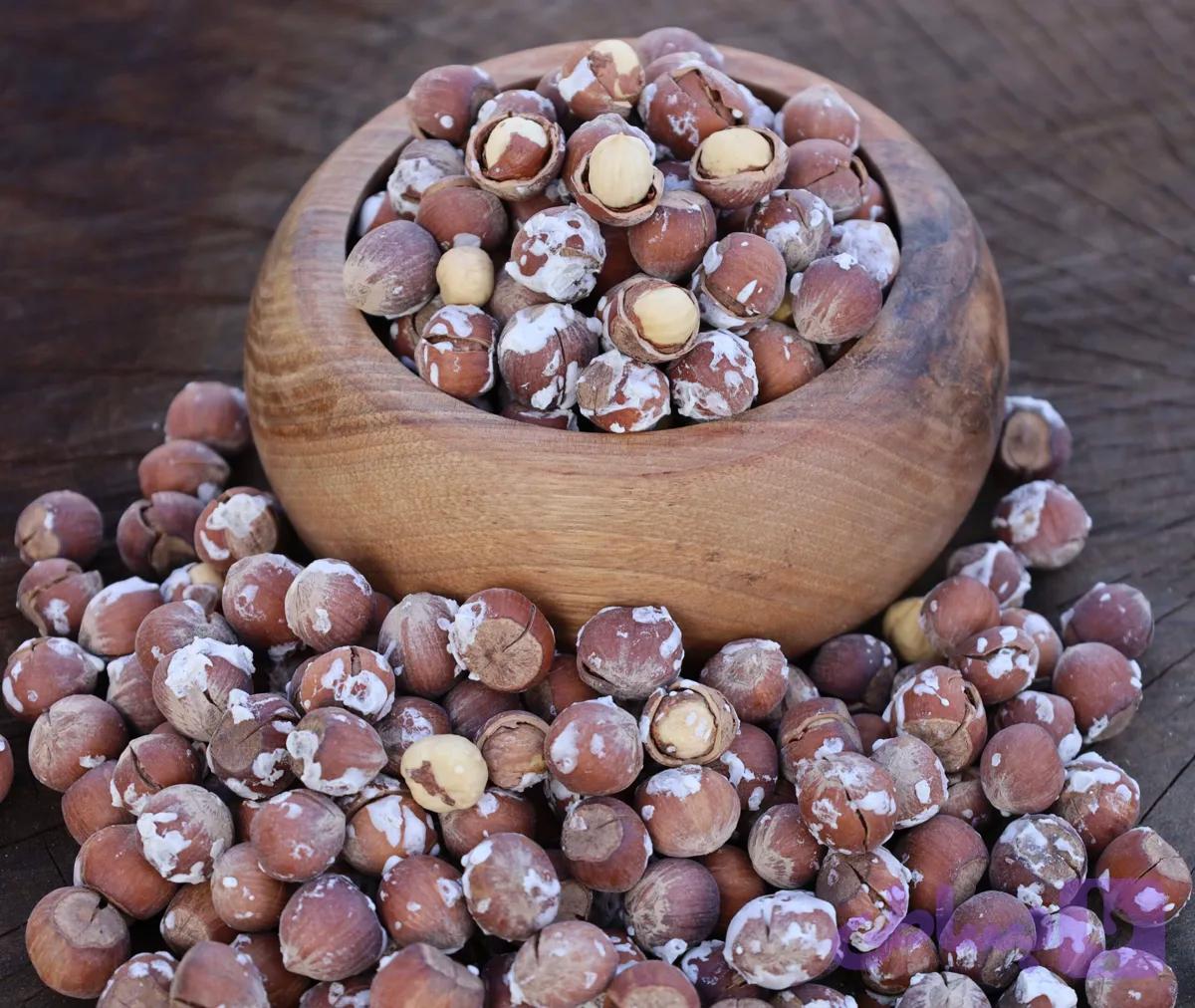 فندق محلی گیلان